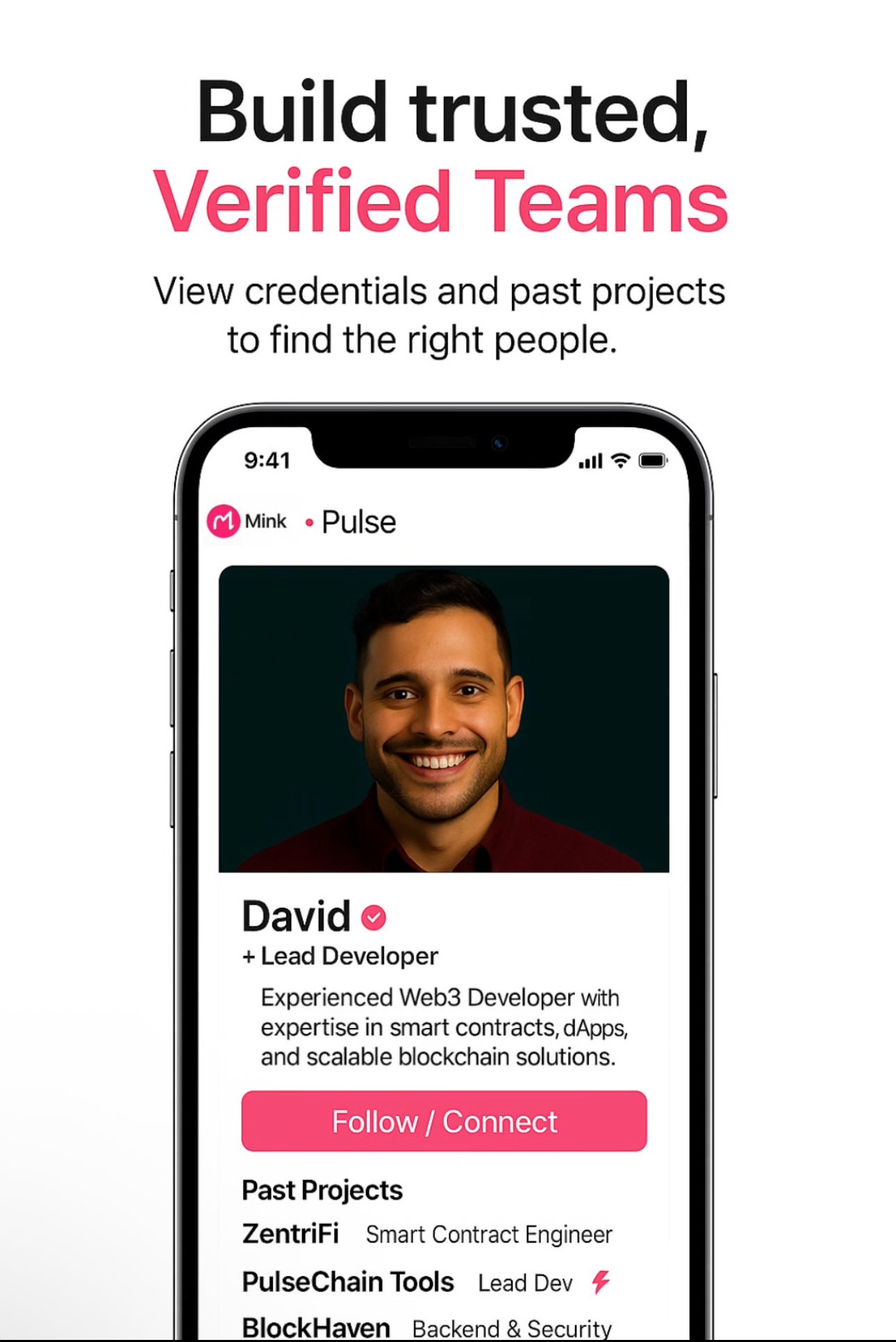 Verified Teams - credentials and past projects